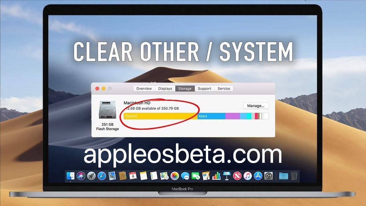 clean other storage on mac